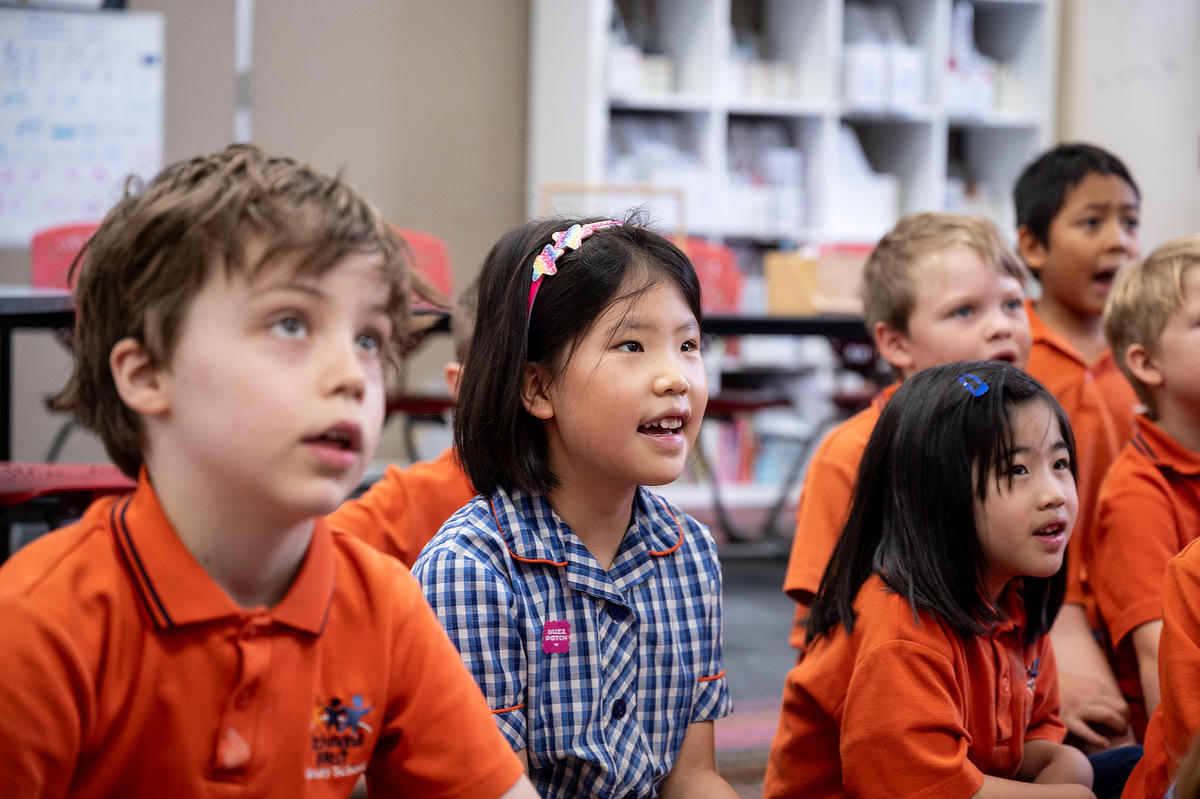 Curriculum Richmond West Ps 3